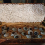 Glasses eyes and travel box